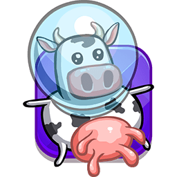 Space Cowboy